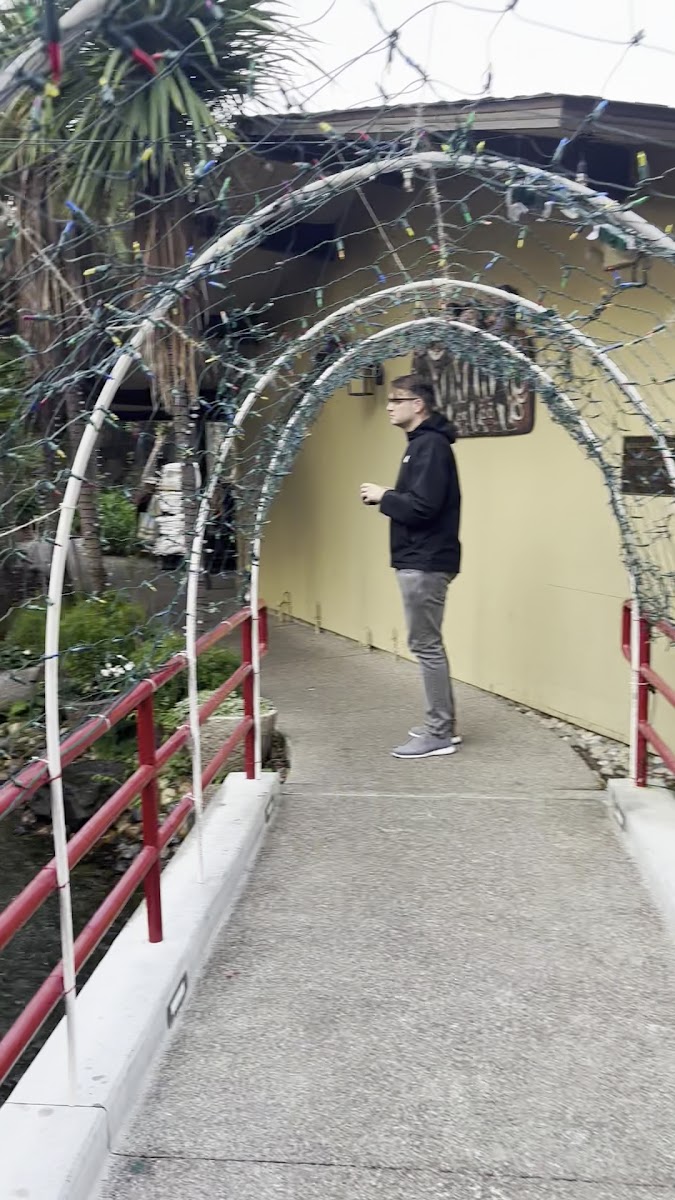 Dinah's Poolside Restaurant-2